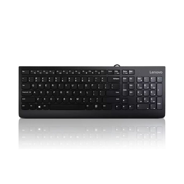 Open Box Lenovo 300 USB Combo AR Layout Keyboard and Mouse GX30M39607 - Image 3