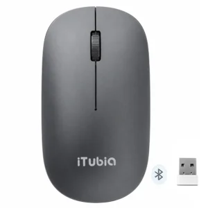 iTubia iTE518d Stylish Office Wireless Mouse