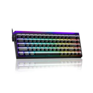 AULA HERO68 HE Magnetic Jade King SW Hot Swappable RGB 65% Backlight Wired Mechanical Gaming Keyboard (Black Frosted Translucent)